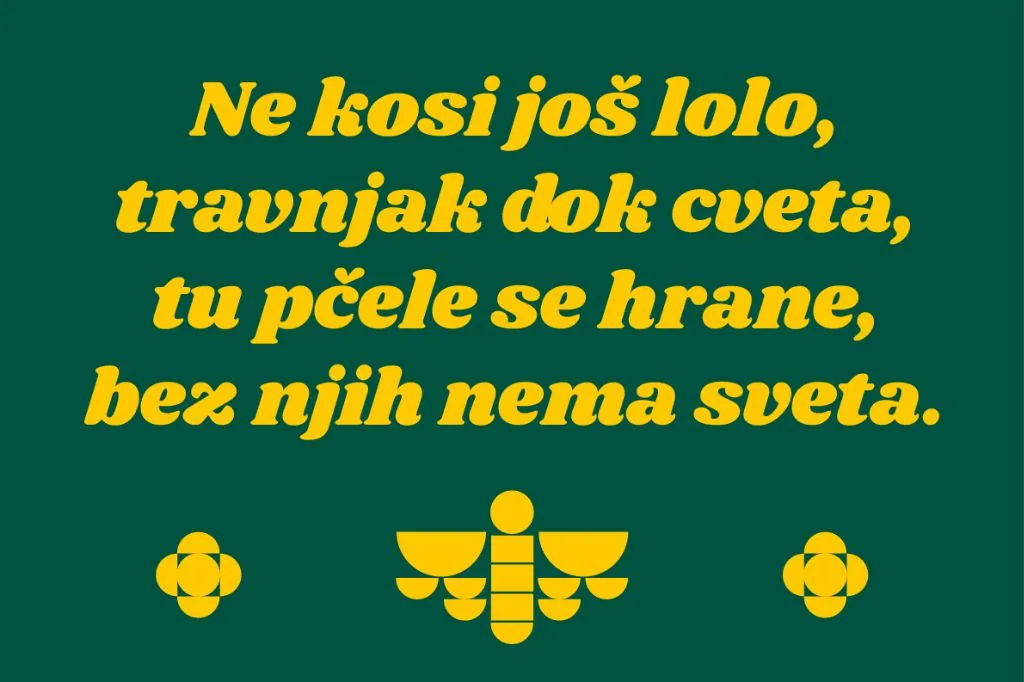 Livada ostavljena nepokošena, visoka trava i divlje cveće