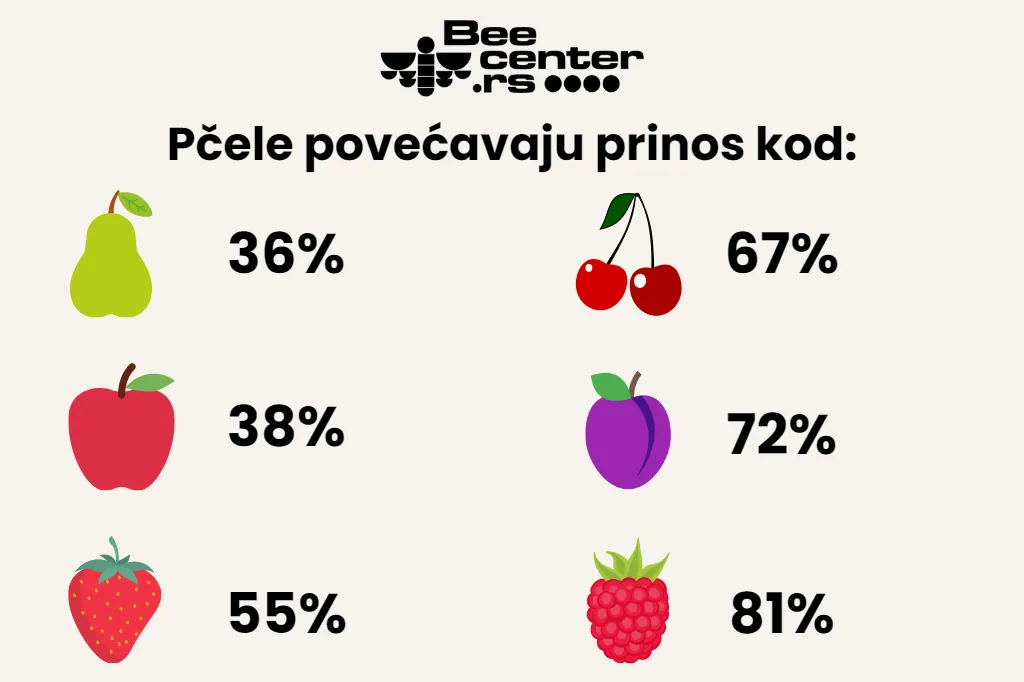 Prikaz povećanja prinosa kod oprašivanja pčelom