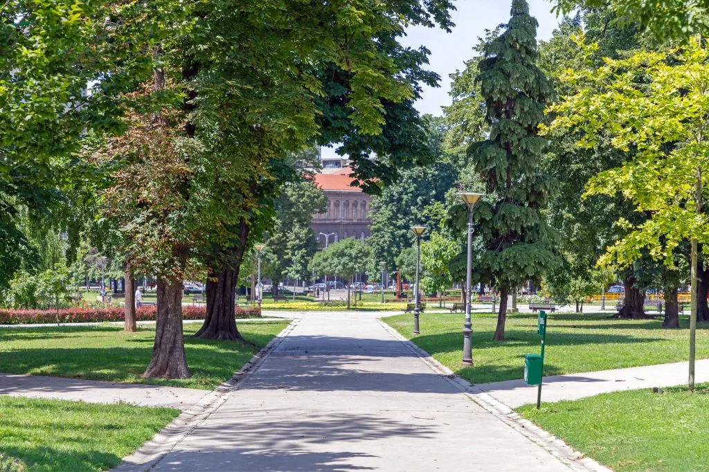 Zelena površina u gradu, pokošena trava i drveće