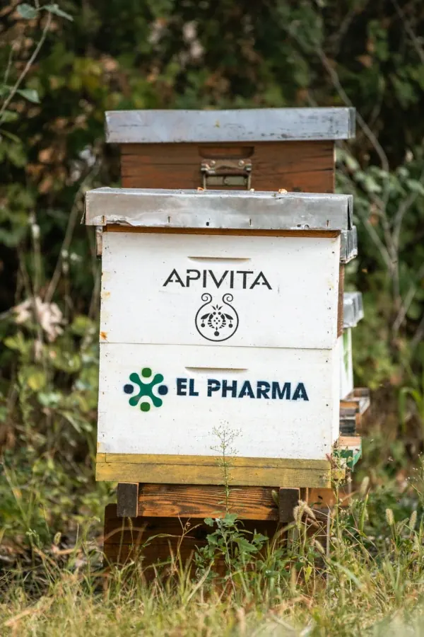 Bela košnica sa oznakama Apivita i El Pharma u visokoj travi.
