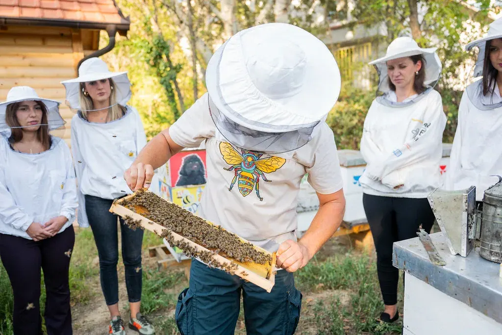 Odrasli u belim pčelarskim jaknama oko otvorene oslikane košnice, jedan od braće drži ram.