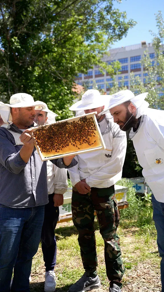 Radionica sa pčelama, ruke nad ramom punim saća