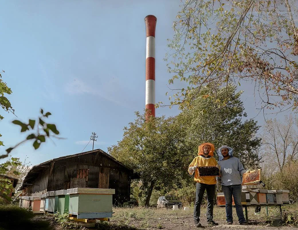 Pčelari na krovu u Luci Beograd, košnice iznad grada